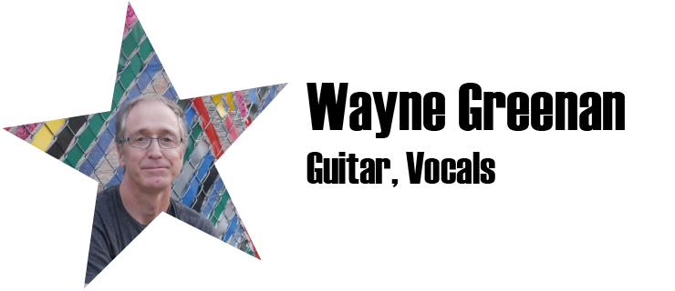 Wayne Greenan, Guitar